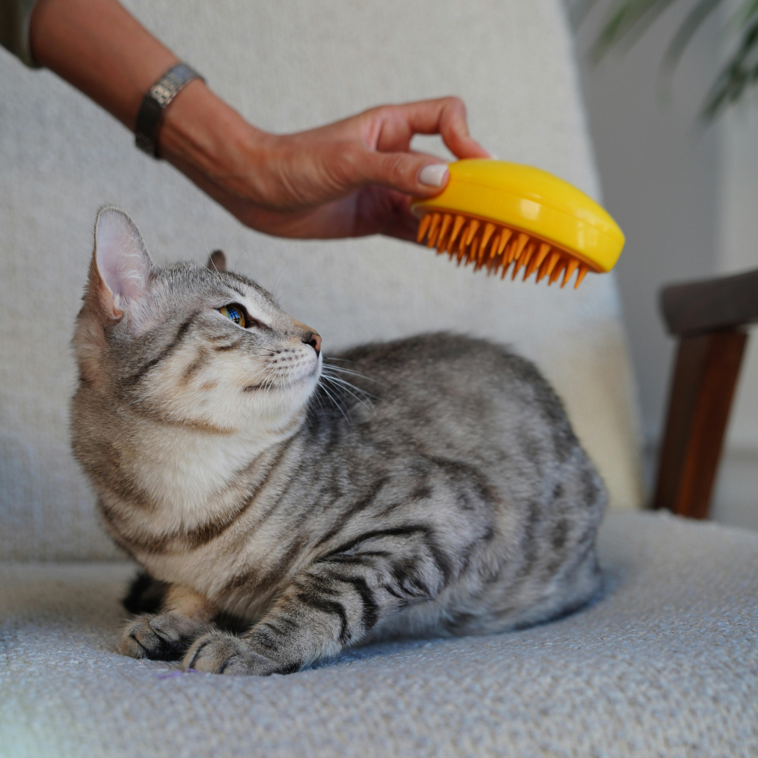 BioBau pelo sano gatti pelo sano cani